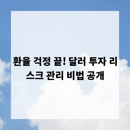 환율 걱정 끝! 달러 투자 리스크 관리 비법 공개