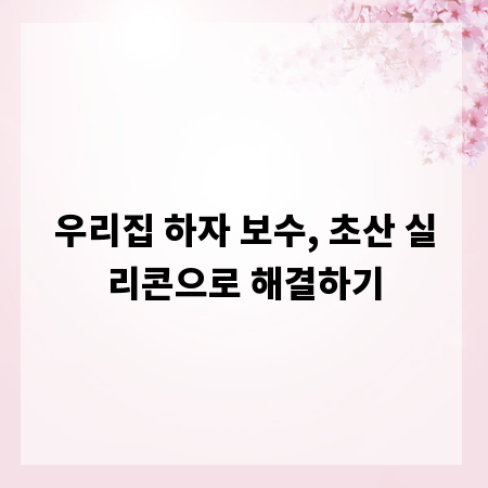 우리집 하자 보수, 초산 실리콘으로 해결하기