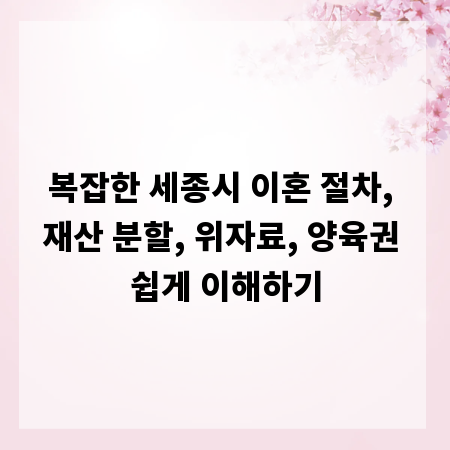 복잡한 세종시 이혼 절차, 재산 분할, 위자료, 양육권 쉽게 이해하기