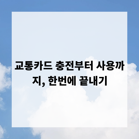 교통카드 충전부터 사용까지, 한번에 끝내기