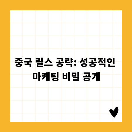 중국 릴스 공략: 성공적인 마케팅 비밀 공개