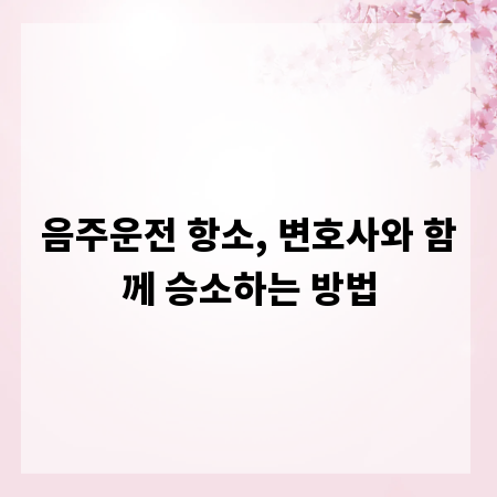 음주운전 항소, 변호사와 함께 승소하는 방법
