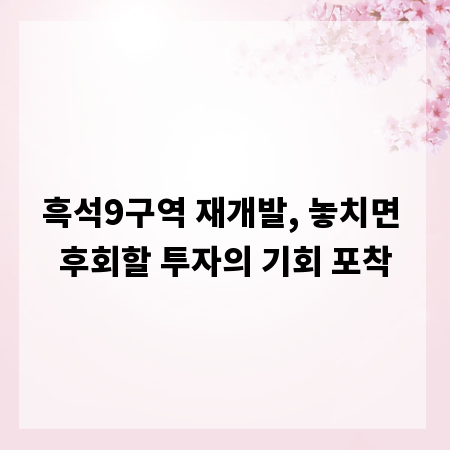 흑석9구역 재개발, 놓치면 후회할 투자의 기회 포착