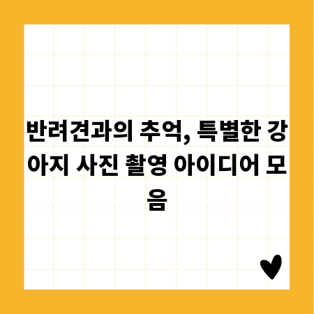 반려견과의 추억, 특별한 강아지 사진 촬영 아이디어 모음