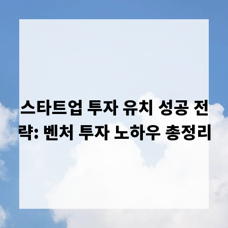 스타트업 투자 유치 성공 전략: 벤처 투자 노하우 총정리