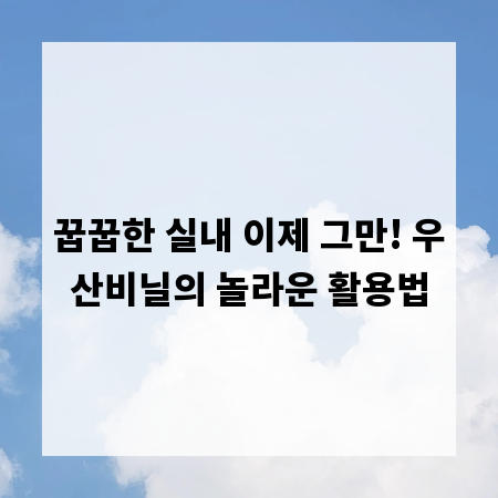 꿉꿉한 실내 이제 그만! 우산비닐의 놀라운 활용법