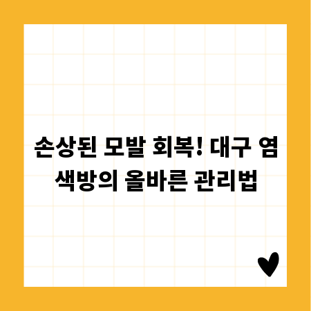 손상된 모발 회복! 대구 염색방의 올바른 관리법