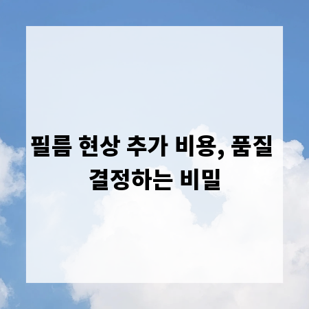 필름 현상 추가 비용, 품질 결정하는 비밀