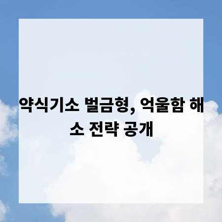 약식기소 벌금형, 억울함 해소 전략 공개