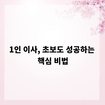 1인 이사, 초보도 성공하는 핵심 비법
