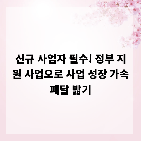 신규 사업자 필수! 정부 지원 사업으로 사업 성장 가속페달 밟기