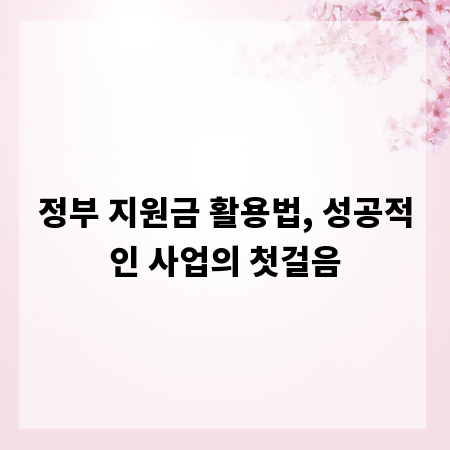 정부 지원금 활용법, 성공적인 사업의 첫걸음