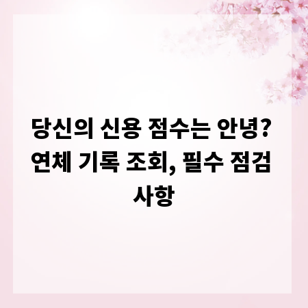 당신의 신용 점수는 안녕? 연체 기록 조회, 필수 점검 사항