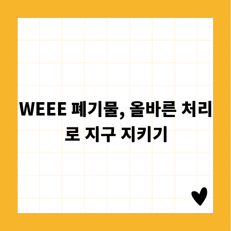 WEEE 폐기물, 올바른 처리로 지구 지키기
