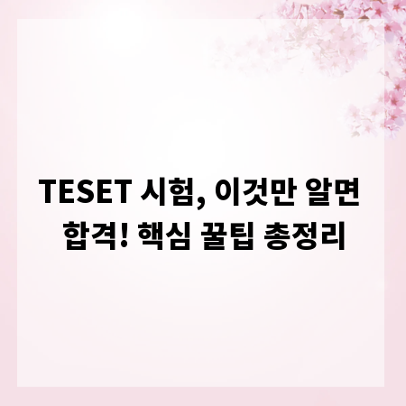 TESET 시험, 이것만 알면 합격! 핵심 꿀팁 총정리