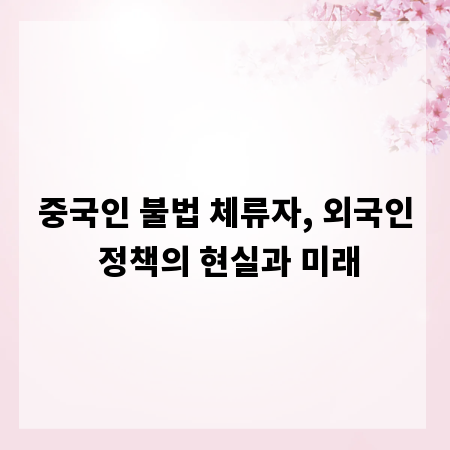 중국인 불법 체류자, 외국인 정책의 현실과 미래