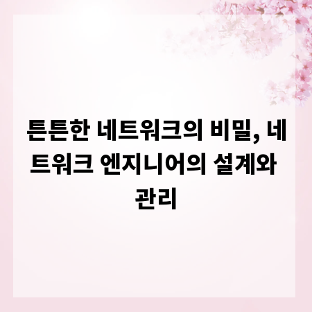 튼튼한 네트워크의 비밀, 네트워크 엔지니어의 설계와 관리