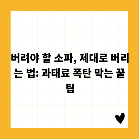 버려야 할 소파, 제대로 버리는 법: 과태료 폭탄 막는 꿀팁