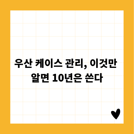 우산 케이스 관리, 이것만 알면 10년은 쓴다