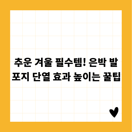 추운 겨울 필수템! 은박 발포지 단열 효과 높이는 꿀팁