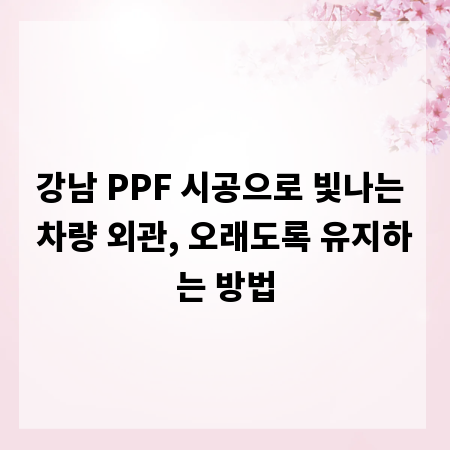 강남 PPF 시공으로 빛나는 차량 외관, 오래도록 유지하는 방법