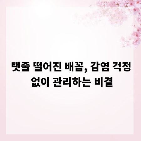 탯줄 떨어진 배꼽, 감염 걱정 없이 관리하는 비결