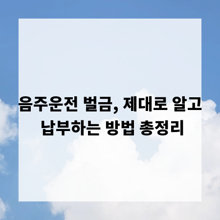 음주운전 벌금, 제대로 알고 납부하는 방법 총정리
