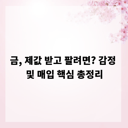 금, 제값 받고 팔려면? 감정 및 매입 핵심 총정리