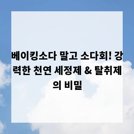 베이킹소다 말고 소다회! 강력한 천연 세정제 & 탈취제의 비밀