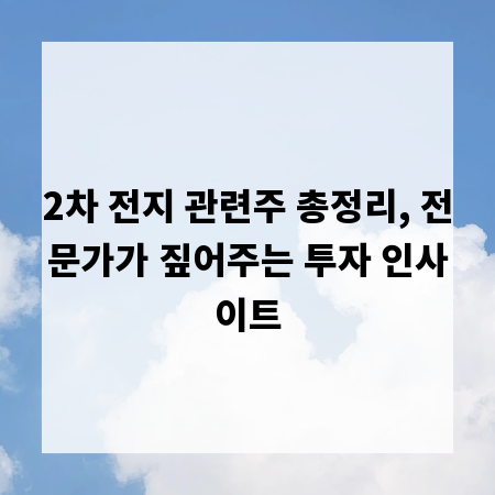 2차 전지 관련주 총정리, 전문가가 짚어주는 투자 인사이트