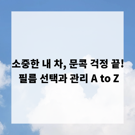 소중한 내 차, 문콕 걱정 끝! 필름 선택과 관리 A to Z