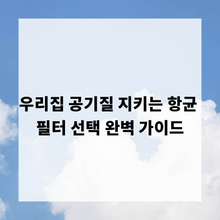 우리집 공기질 지키는 항균 필터 선택 완벽 가이드