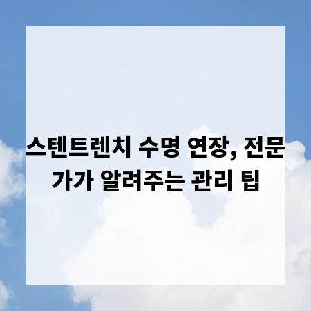 스텐트렌치 수명 연장, 전문가가 알려주는 관리 팁