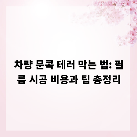 차량 문콕 테러 막는 법: 필름 시공 비용과 팁 총정리