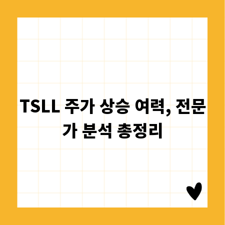 TSLL 주가 상승 여력, 전문가 분석 총정리