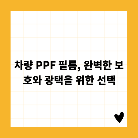 차량 PPF 필름, 완벽한 보호와 광택을 위한 선택