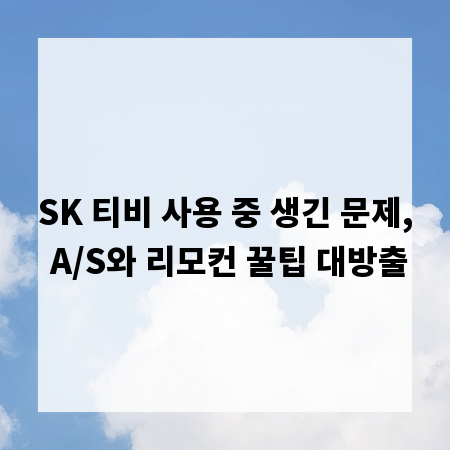 SK 티비 사용 중 생긴 문제, A/S와 리모컨 꿀팁 대방출