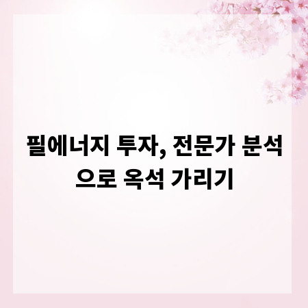 필에너지 투자, 전문가 분석으로 옥석 가리기