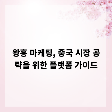 왕홍 마케팅, 중국 시장 공략을 위한 플랫폼 가이드