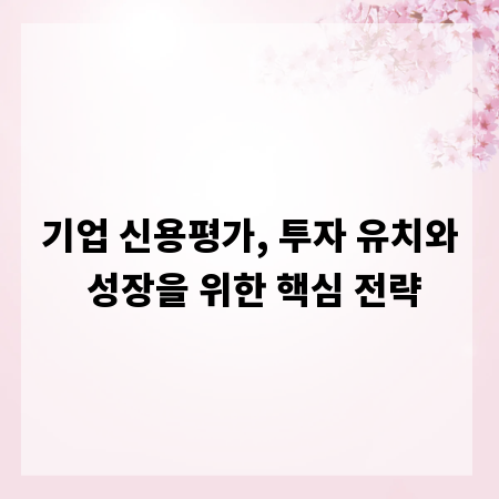 기업 신용평가, 투자 유치와 성장을 위한 핵심 전략