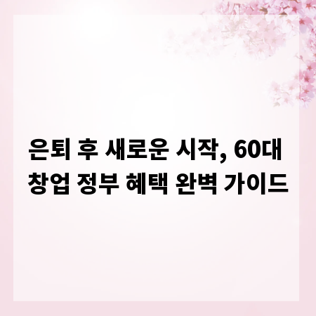 은퇴 후 새로운 시작, 60대 창업 정부 혜택 완벽 가이드