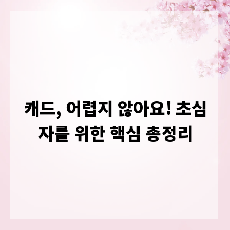 캐드, 어렵지 않아요! 초심자를 위한 핵심 총정리