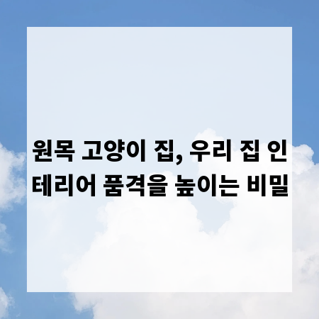 원목 고양이 집, 우리 집 인테리어 품격을 높이는 비밀