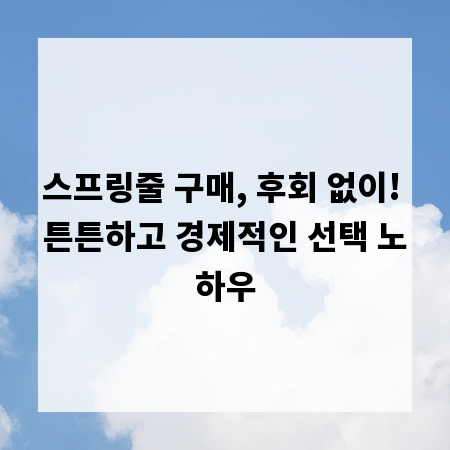 스프링줄 구매, 후회 없이! 튼튼하고 경제적인 선택 노하우