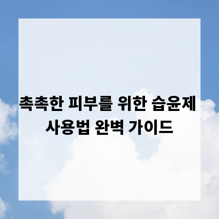 촉촉한 피부를 위한 습윤제 사용법 완벽 가이드