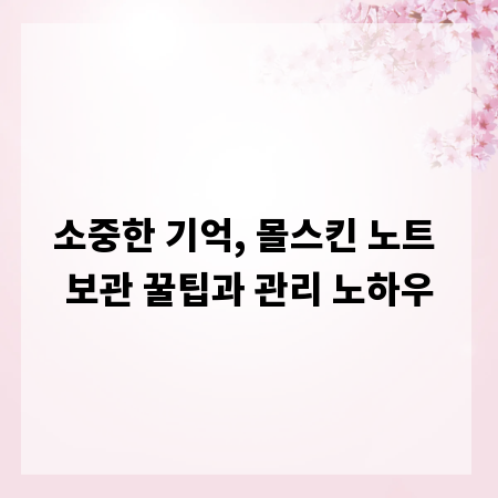 소중한 기억, 몰스킨 노트 보관 꿀팁과 관리 노하우