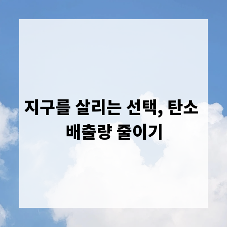 지구를 살리는 선택, 탄소 배출량 줄이기