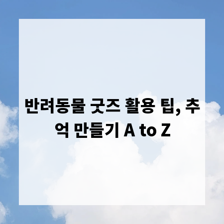 반려동물 굿즈 활용 팁, 추억 만들기 A to Z