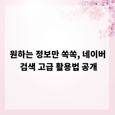 원하는 정보만 쏙쏙, 네이버 검색 고급 활용법 공개