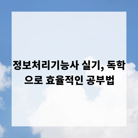 정보처리기능사 실기, 독학으로 효율적인 공부법
